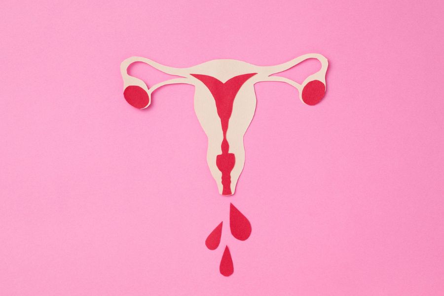 Entenda as fases do seu ciclo: Você não é a mesma todos os dias